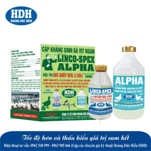 CẶP KS GÀ VỊT NGAN LINCO-SPEX & ALPHA