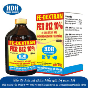 FE-DEXTRAN