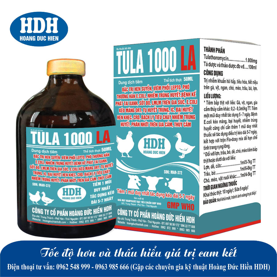 Tula 1000