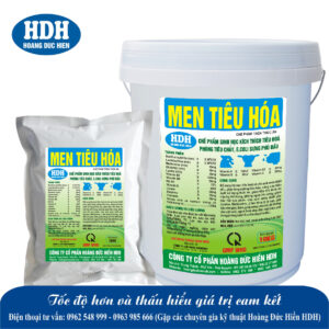 MEN TIÊU HÓA